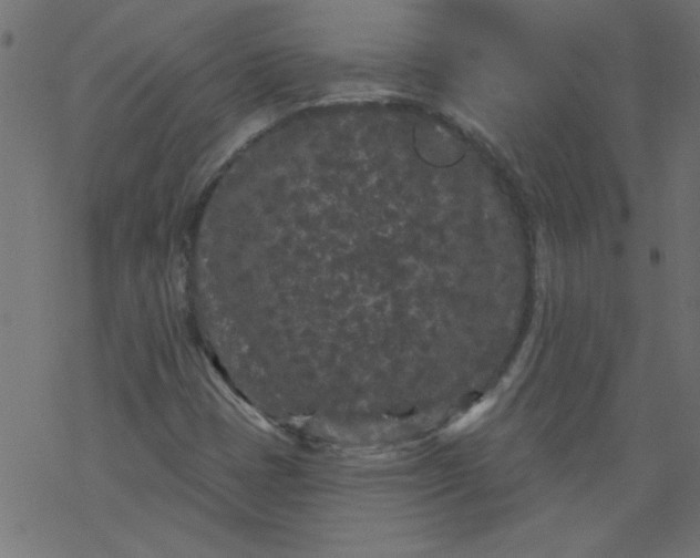 X0000077351401200611031809