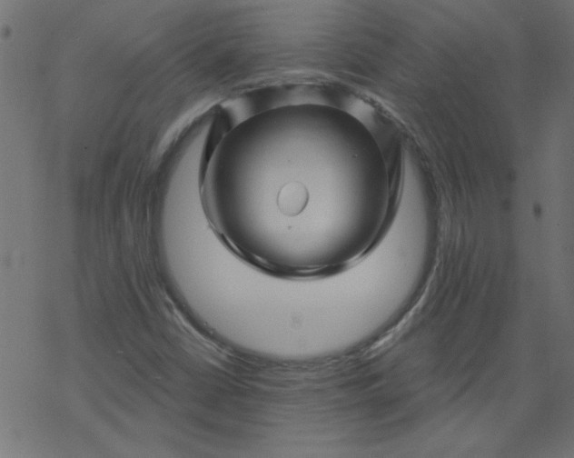 X0000077351402200611031809