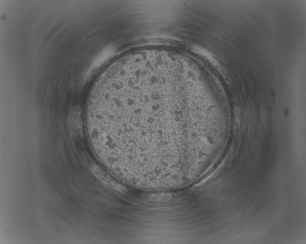 X0000077351403200611031809