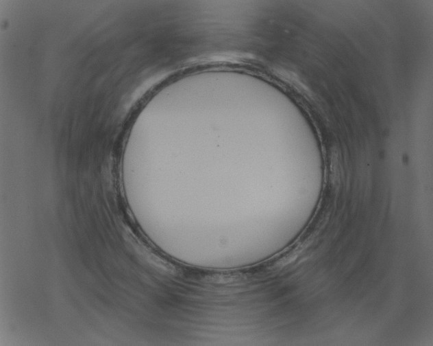 X0000077351404200611031809