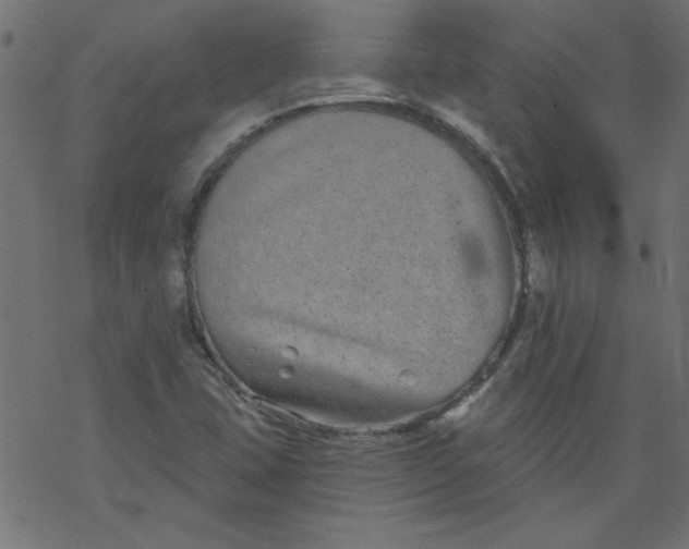 X0000077351407200611031809