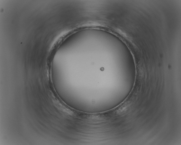 X0000077351408200611031809