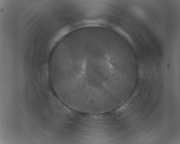 X0000077351411200611031809