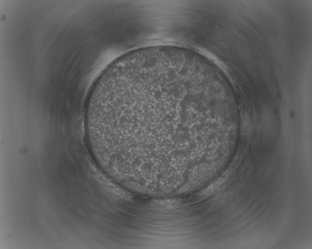 X0000077351415200611031810