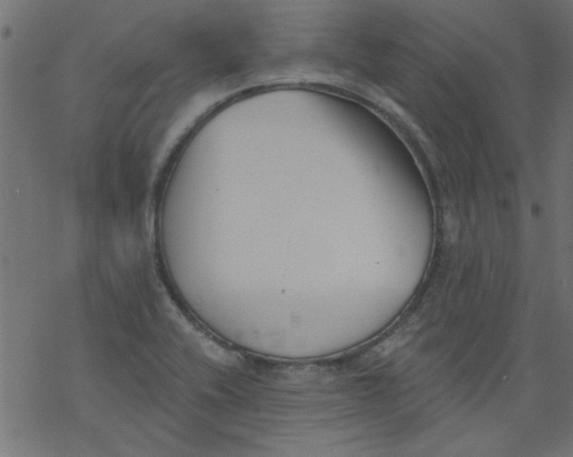 X0000077351416200611031810