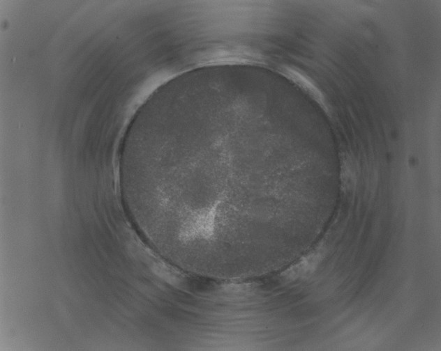 X0000077351419200611031810