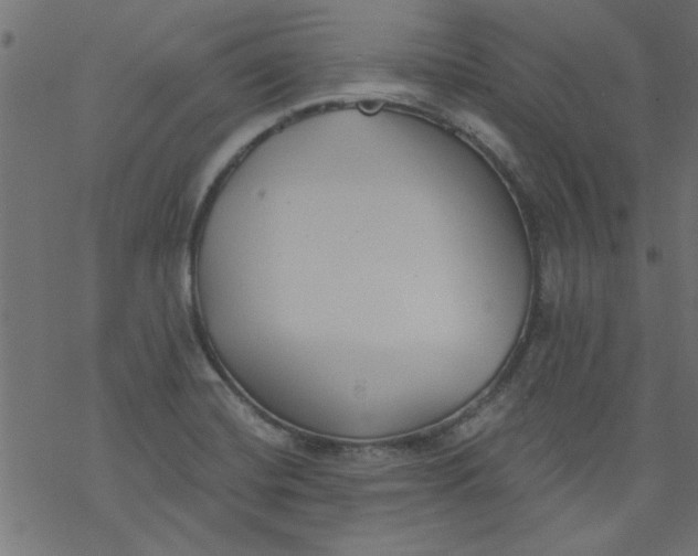 X0000077351420200611031810