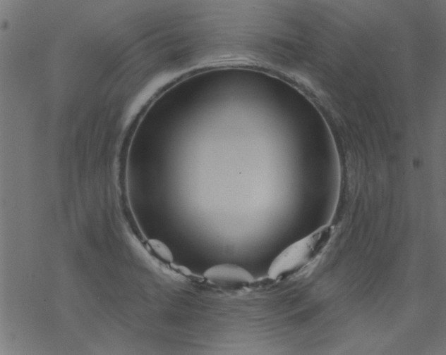 X0000077351422200611031810