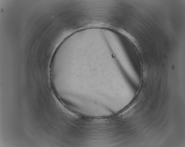 X0000077351423200611031810