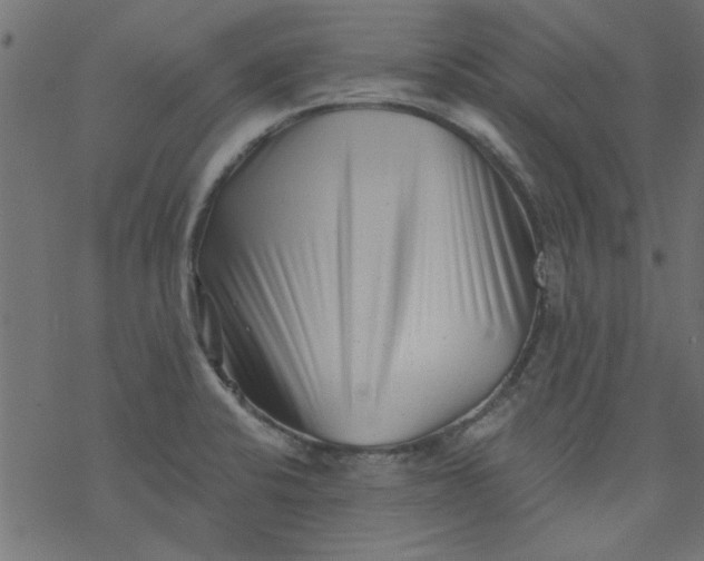 X0000077351424200611031810