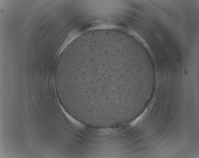 X0000077351425200611031810