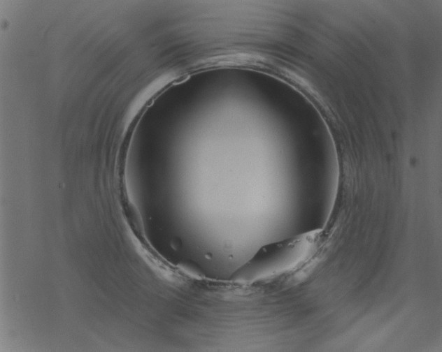 X0000077351426200611031810