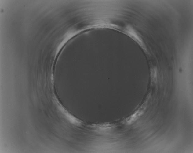 X0000077351428200611031810