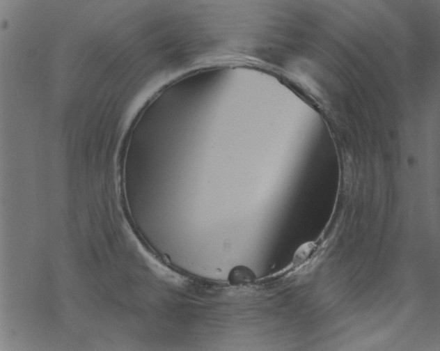 X0000077351430200611031810