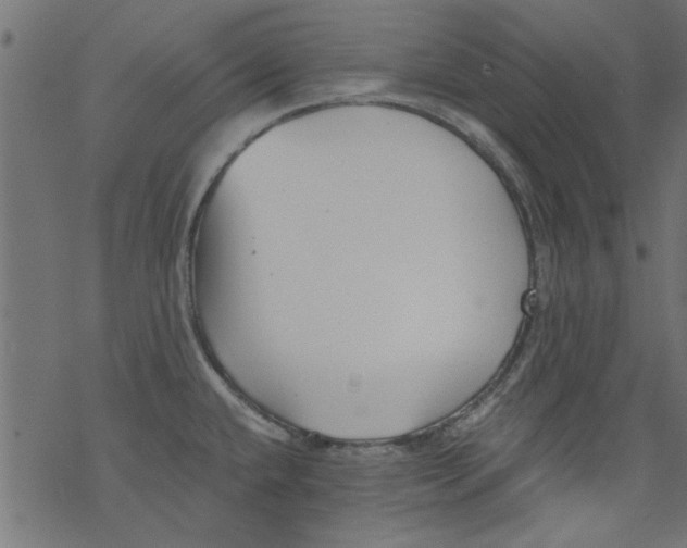 X0000077351432200611031810