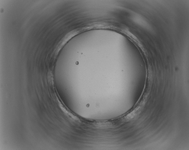 X0000077351433200611031810