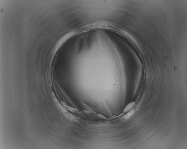 X0000077351434200611031810