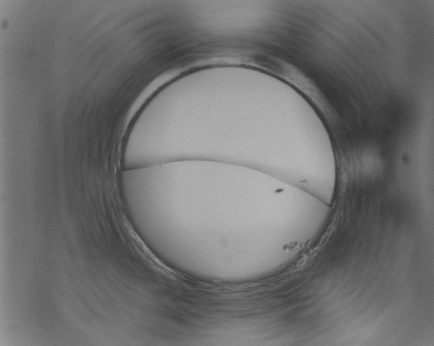 X0000077351436200611031810