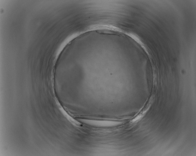 X0000077351438200611031810