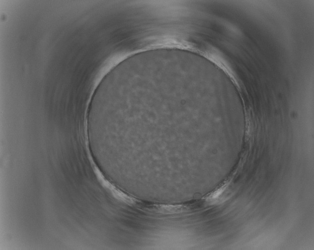 X0000077351439200611031810