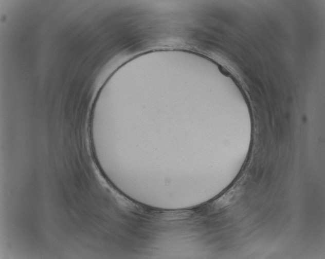 X0000077351440200611031810