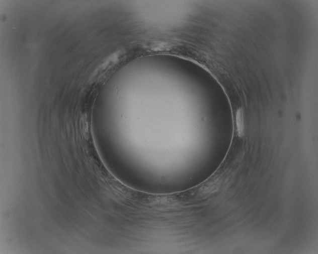 X0000077351443200611031809