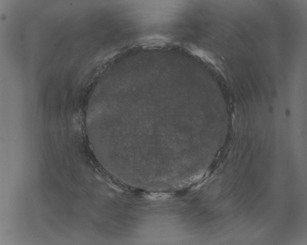 X0000077351445200611031809