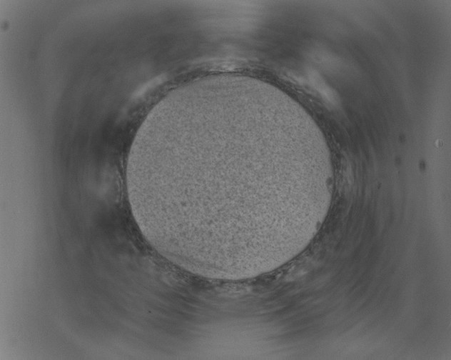 X0000077351446200611031809