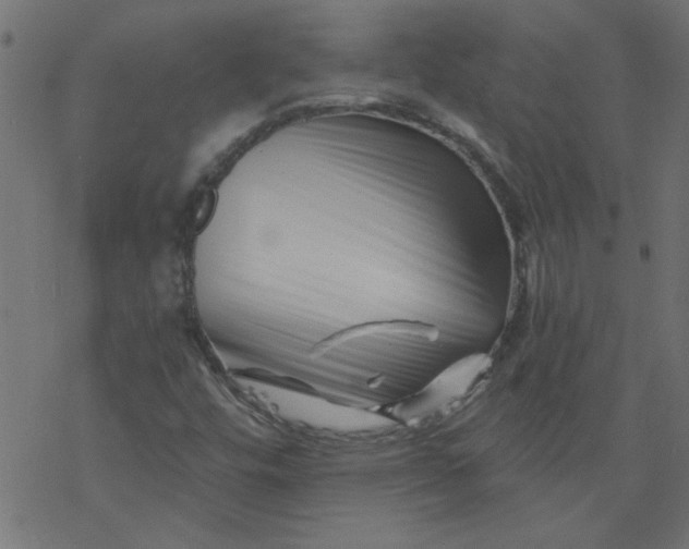 X0000077351448200611031809