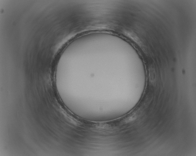 X0000077351452200611031809