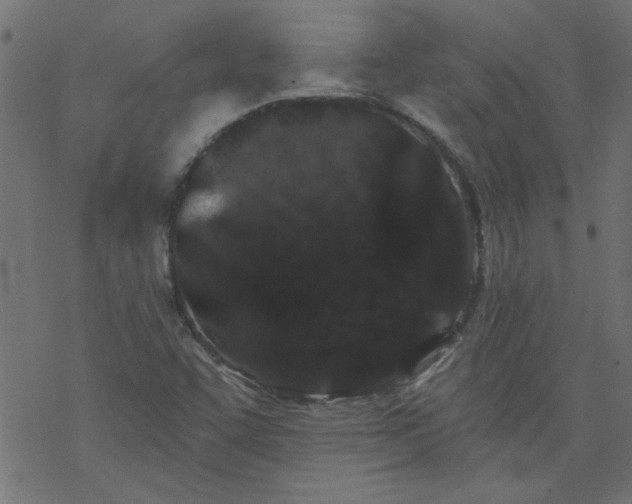 X0000077351455200611031809