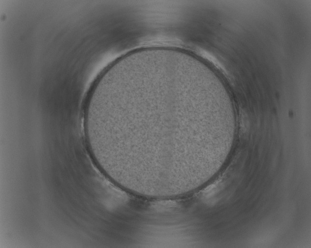 X0000077351462200611031809