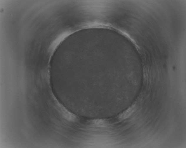 X0000077351463200611031809