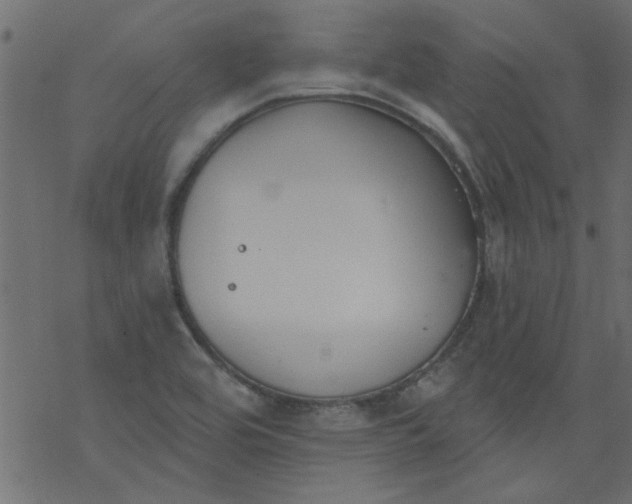 X0000077351464200611031809