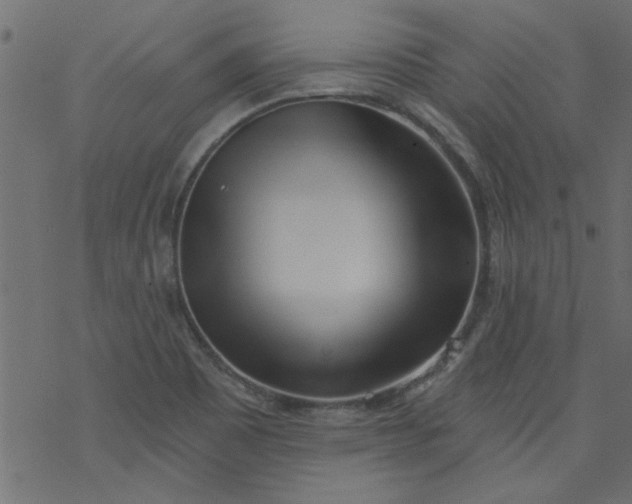 X0000077351465200611031809