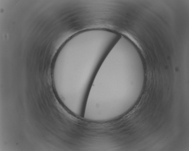 X0000077351468200611031809