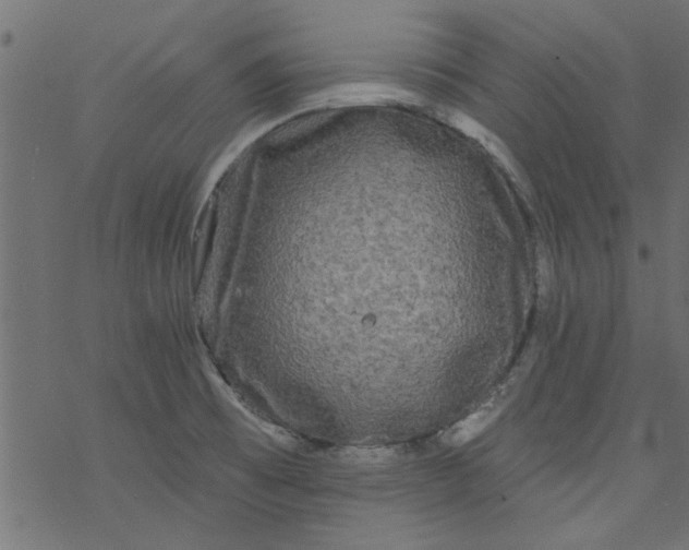 X0000077351473200611031809