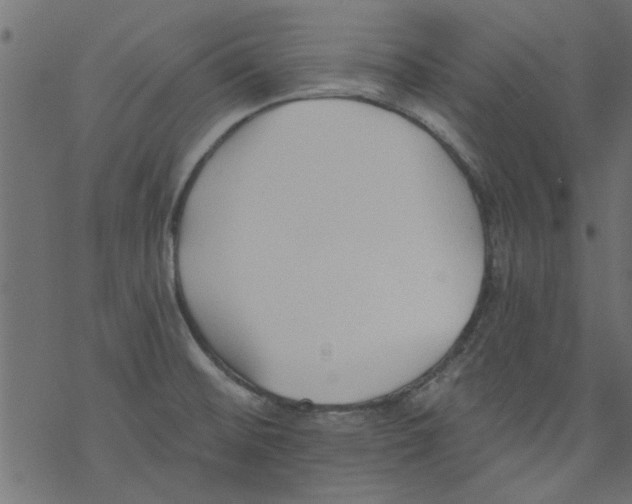 X0000077351476200611031809