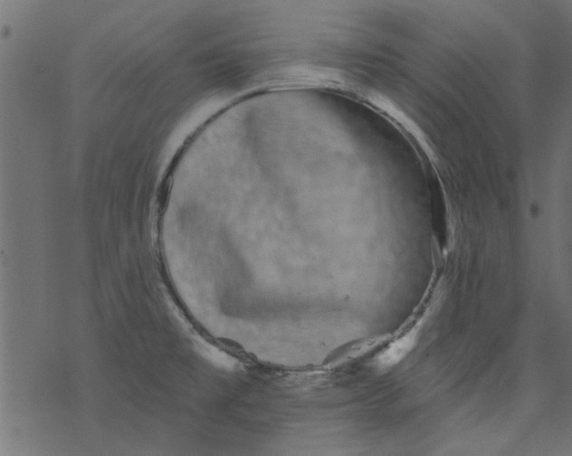 X0000077351477200611031809