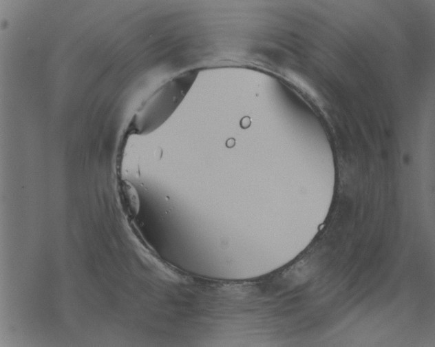 X0000077351480200611031808