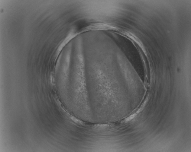 X0000077351481200611031808