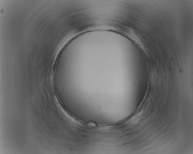 X0000077351484200611031808