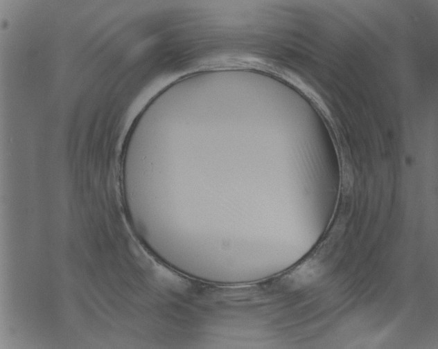 X0000077351486200611031808