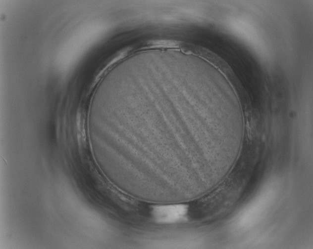 X0000077351487200611031808