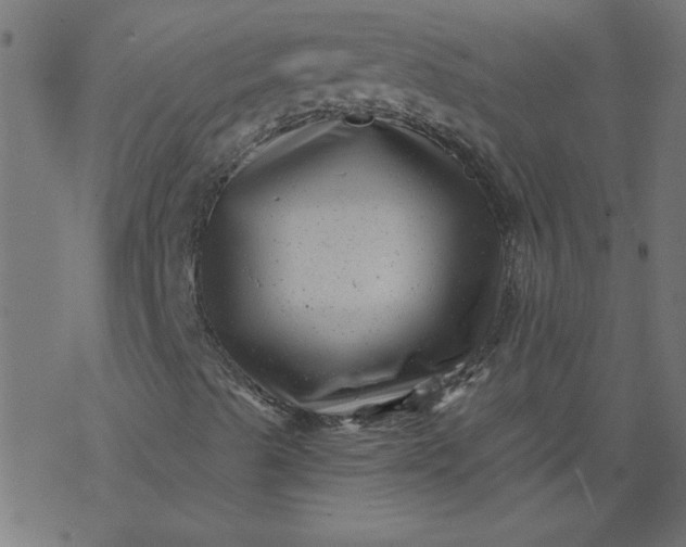 X0000077351489200611031808