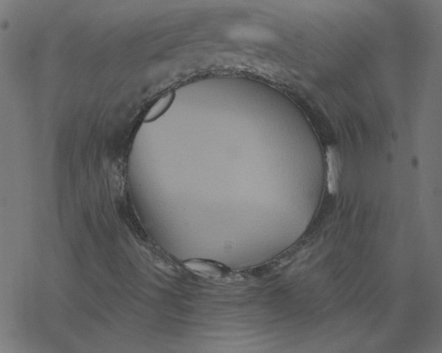 X0000077351491200611031808