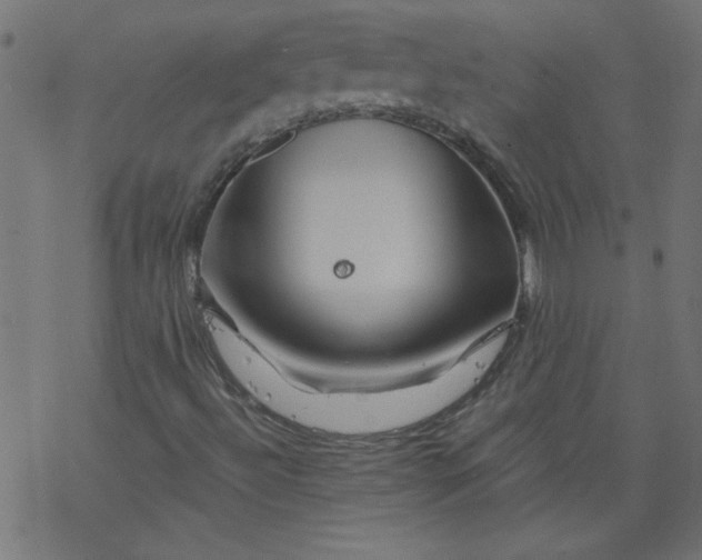 X0000077351492200611031808