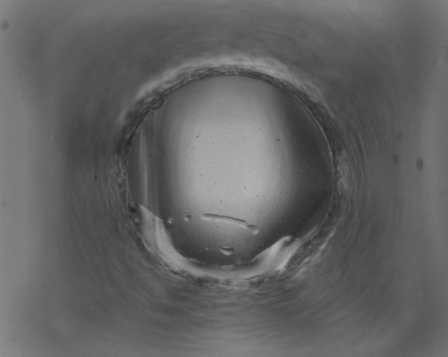 X0000077351494200611031808