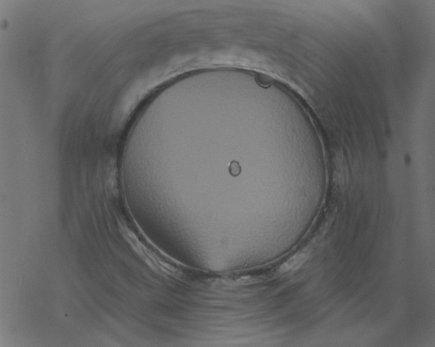 X0000077351499200611031808