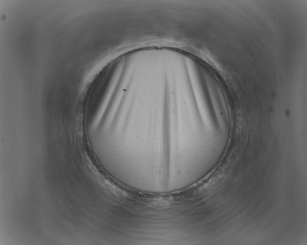 X0000077351504200611031808